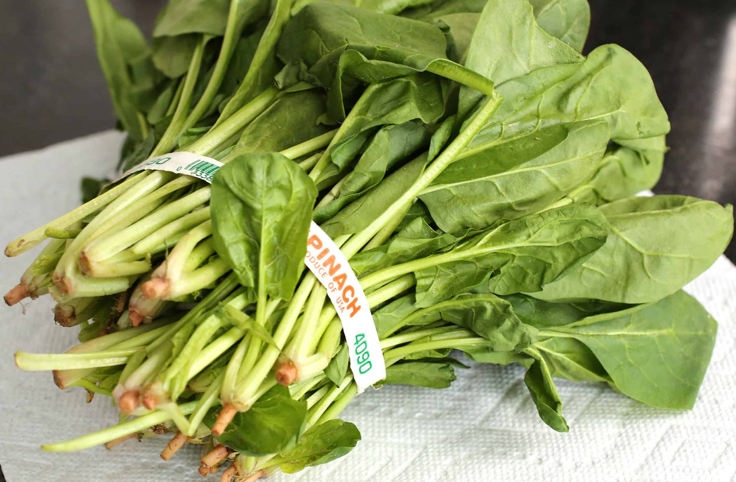 Vegetable