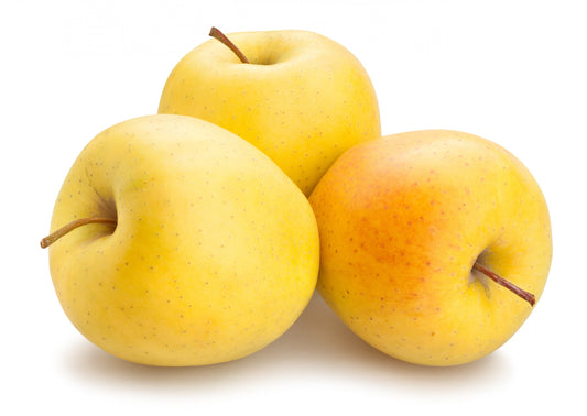 Fruit
