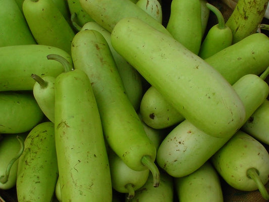 Vegetable