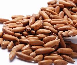 Pine Nuts