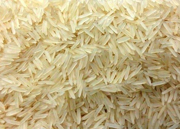 Rice