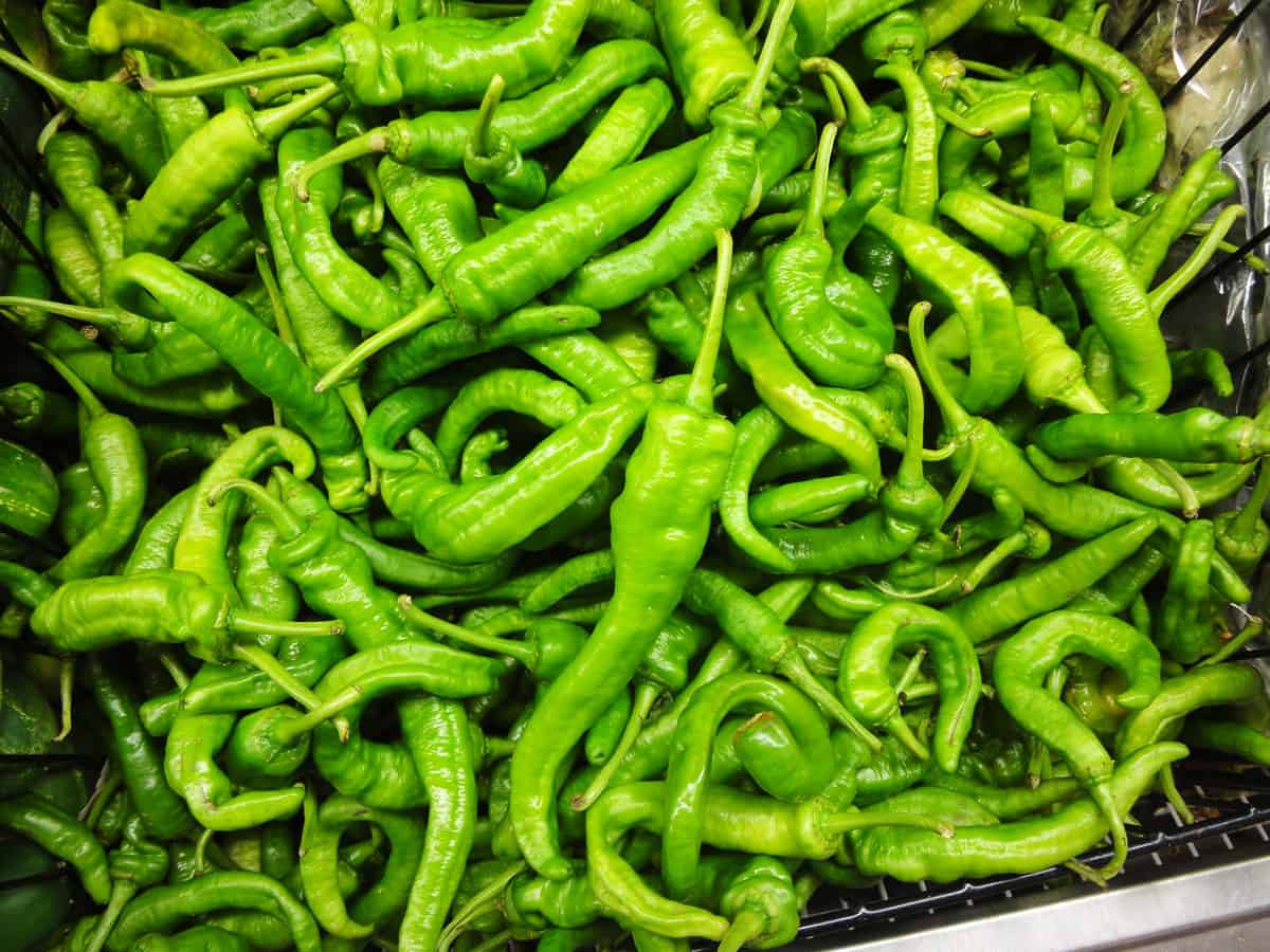 Vegetable