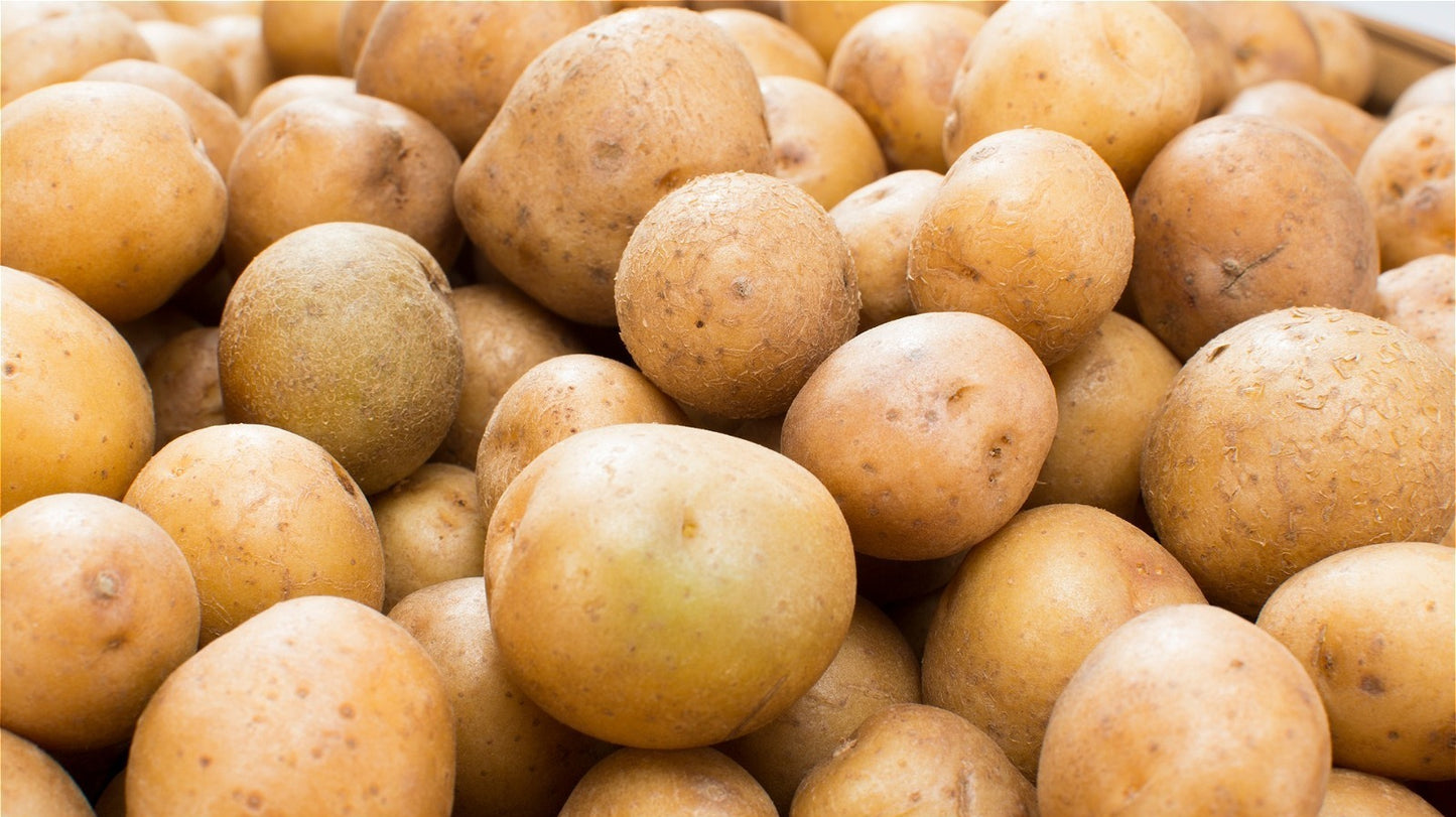Vegetable
