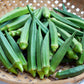 Vegetable