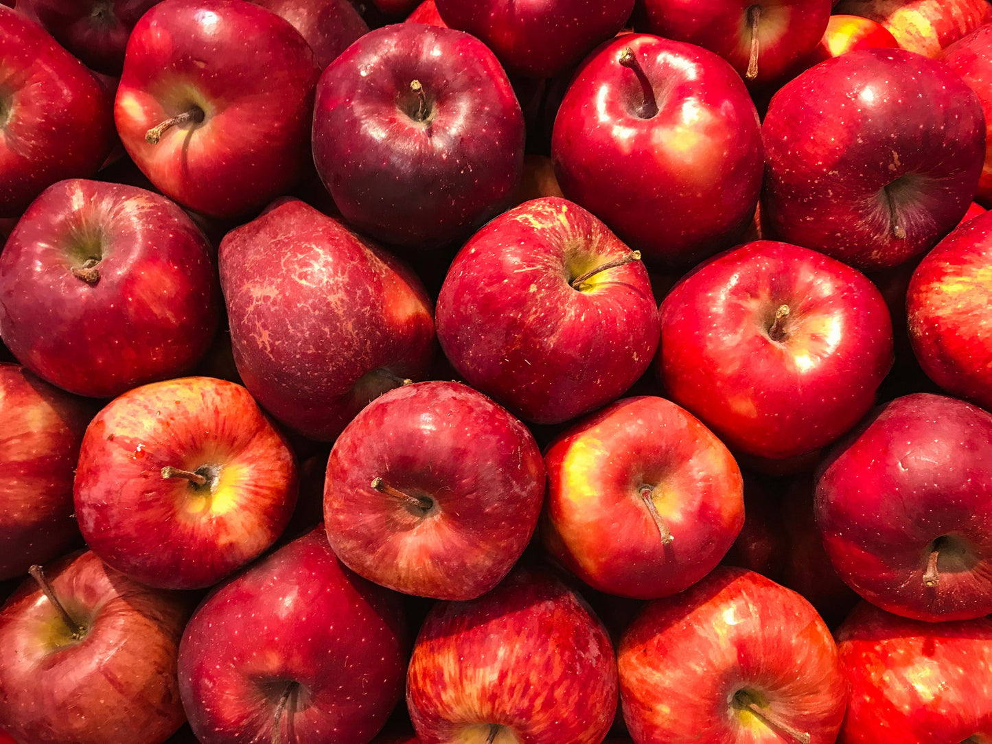 Fruit